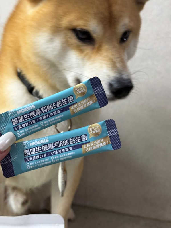 女人知己試用大隊,口碑行銷,部落客行銷,Moegis萌吉 腸道生機專利RBE益生菌,寵物益生菌,專利RBE益生元,專利蔬果酵素,小分子胜肽,藍藻粉,維持免疫力,幫助維持消化道機能,維持正常食慾,改變細菌叢生態,腸胃保健,犬貓適用